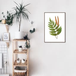 Quadro Botânica Anemidictyon Phyllitidis 43x30 Filete Marrom