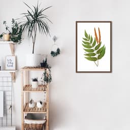 Quadro Botânica Anemidictyon Phyllitidis 60x43 Caixa Marrom