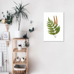 Quadro Botânica Anemidictyon Phyllitidis 86x60 Filete Branco