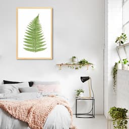 Quadro Botânica Aspidium Angulare 100x70 Caixa Marfim