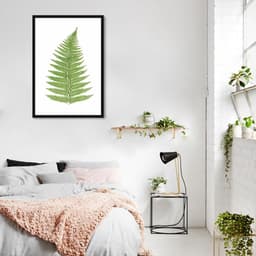 Quadro Botânica Aspidium Angulare 100x70 Caixa Preto