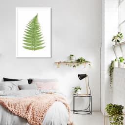 Quadro Botânica Aspidium Angulare 43x30 Caixa Preto