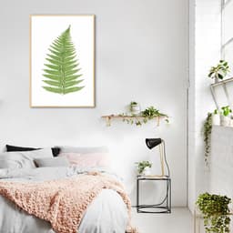 Quadro Botânica Aspidium Angulare 43x30 Filete Marfim