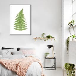 Quadro Botânica Aspidium Angulare 60x43 Filete Preto