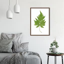 Quadro Botânica Aspidium Cicutarium 100x70 Caixa Marrom