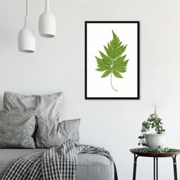 Quadro Botânica Aspidium Cicutarium 43x30 Caixa Preto