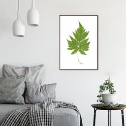 Quadro Botânica Aspidium Cicutarium 43x30 Filete Marrom