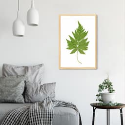 Quadro Botânica Aspidium Cicutarium 60x43 Caixa Marfim