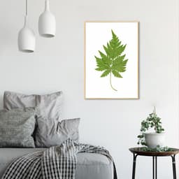 Quadro Botânica Aspidium Cicutarium 60x43 Filete Marfim