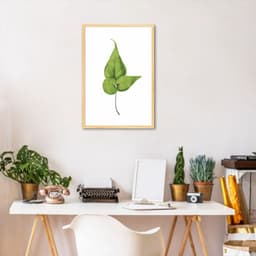 Quadro Botânica Folha Adiantum Wilsoni 43x30 Caixa Marfim