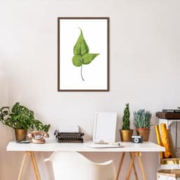 Quadro Botânica Folha Adiantum Wilsoni 43x30 Caixa Marrom