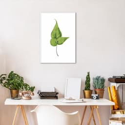 Quadro Botânica Folha Adiantum Wilsoni 43x30 Filete Branco