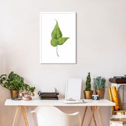Quadro Botânica Folha Adiantum Wilsoni 86x60 Caixa Branco