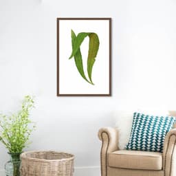 Quadro Botânica Polypodium Nitidum 100x70 Caixa Marrom