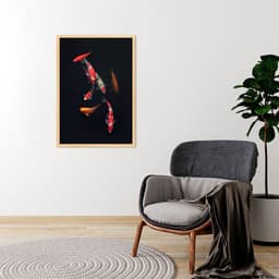 Quadro Carpas Coloridas 100x70 Caixa Marfim