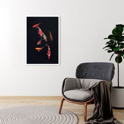 Quadro Carpas Coloridas 43x30 Caixa Branco