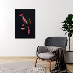 Quadro Carpas Coloridas 43x30 Caixa Preto