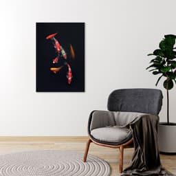 Quadro Carpas Coloridas 60x43 Sem Moldura