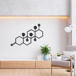 Quadro Escultura Fórmula Hormônio Testosterona 60x40 Preto