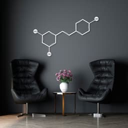 Quadro Escultura Fórmula Química Vinho 100x60 Branco