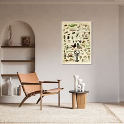 Quadro Vintage Artropodes 100x70 Filete Branco