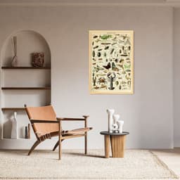 Quadro Vintage Artropodes 43x30 Caixa Marfim