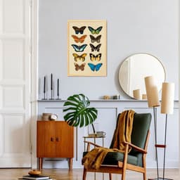 Quadro Vintage Borboletas Coloridas 86x60 Caixa Marfim