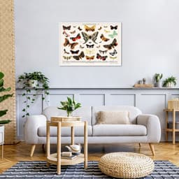 Quadro Vintage Borboletas II 43x30 Filete Branco