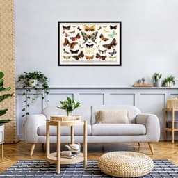 Quadro Vintage Borboletas II 60x43 Caixa Preto