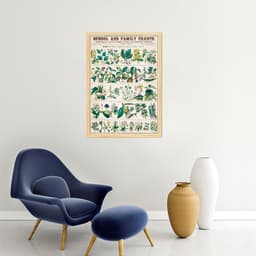 Quadro Vintage Botânica Flores e Plantas 43x30 Caixa Marfim