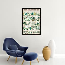 Quadro Vintage Botânica Flores e Plantas 60x43 Caixa Preto