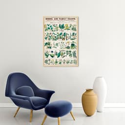 Quadro Vintage Botânica Flores e Plantas 60x43 Filete Marfim