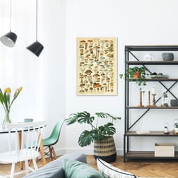 Quadro Vintage Cogumelos 43x30 Filete Branco