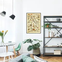 Quadro Vintage Cogumelos 43x30 Filete Preto