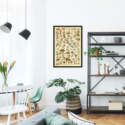 Quadro Vintage Cogumelos 86x60 Caixa Preto