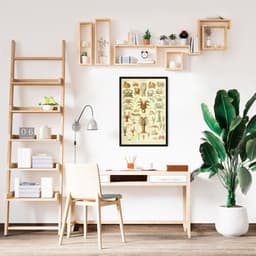 Quadro Vintage Crustáceos 60x43 Caixa Preto