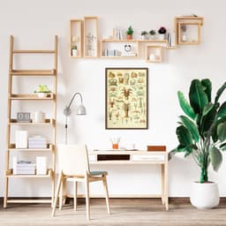 Quadro Vintage Crustáceos 86x60 Caixa Marrom