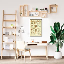 Quadro Vintage Crustáceos 86x60 Filete Preto