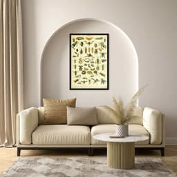 Quadro Vintage Insetos 60x43 Caixa Preto