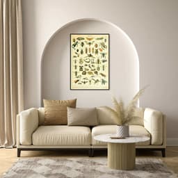 Quadro Vintage Insetos 60x43 Filete Preto