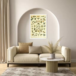 Quadro Vintage Insetos 86x60 Caixa Branco