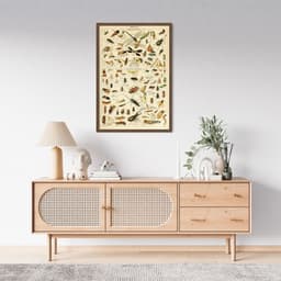 Quadro Vintage Insetos II 60x43 Caixa Marrom