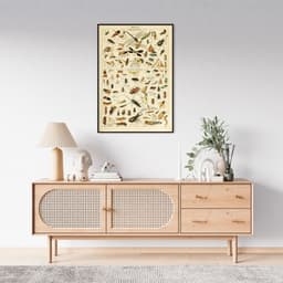 Quadro Vintage Insetos II 60x43 Filete Preto