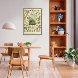 Quadro Vintage Moluscos 100x70 Filete Marrom