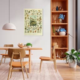 Quadro Vintage Moluscos 60x43 Filete Branco