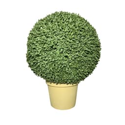 Arranjo com Vaso e Bucho Decorativo 48cm - D'Rossi