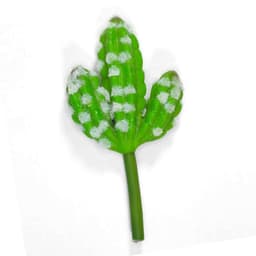Folhagem Artificial Suculenta Cacto 10cm - D'Rossi