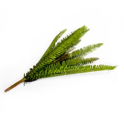 Samambaia Folhagem Artificial com Print Verde 10x65 - D'Rossi