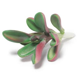 Suculenta Artificial Decorativa 10,5 x 6cm D'Rossi