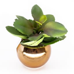 Vaso Decorativo Dourado com Suculenta Artificial Folha Baixa 15x8 cm F04 - D'Rossi